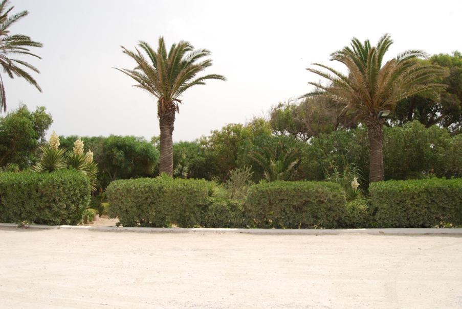 Soliman Hotel El Andalous מראה חיצוני תמונה